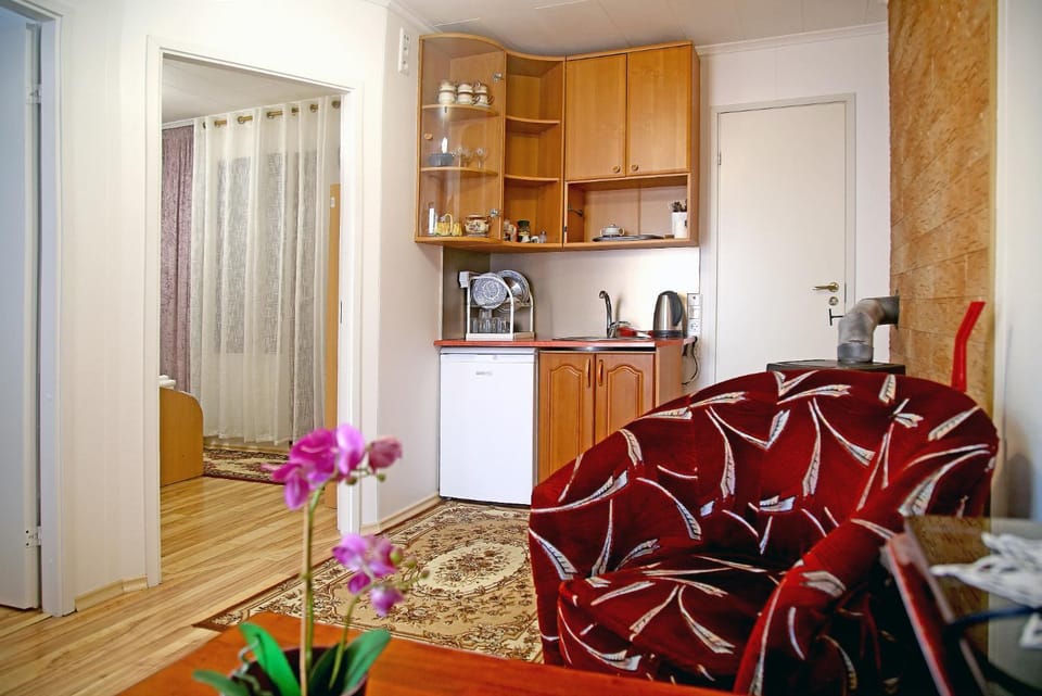 Kitchen or kitchenette, Living room