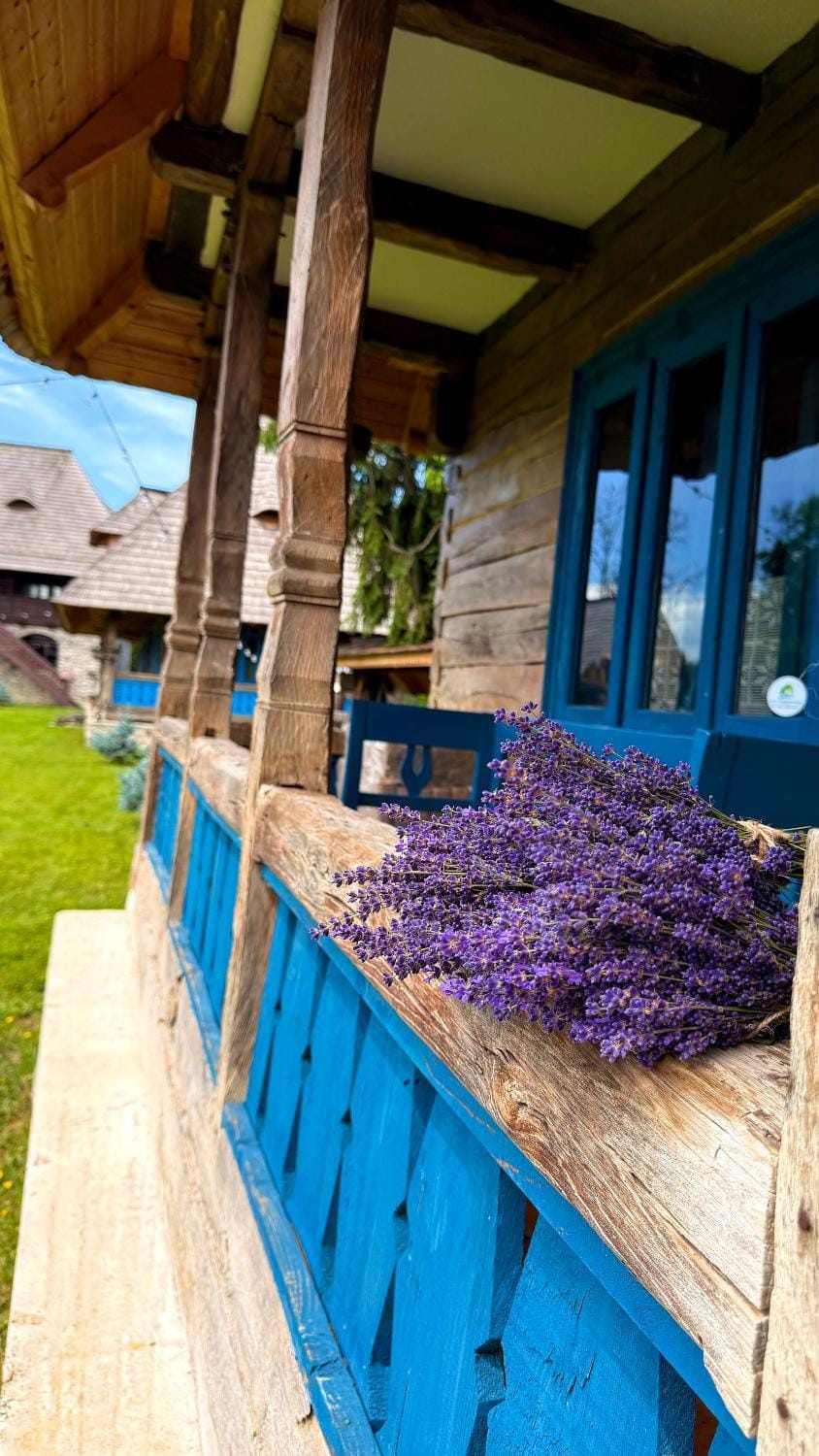 La Patru Daci Bed and Breakfast in Romania