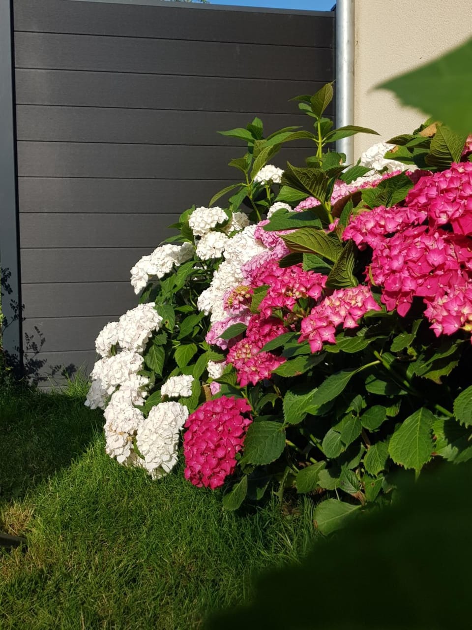 Garden, Garden