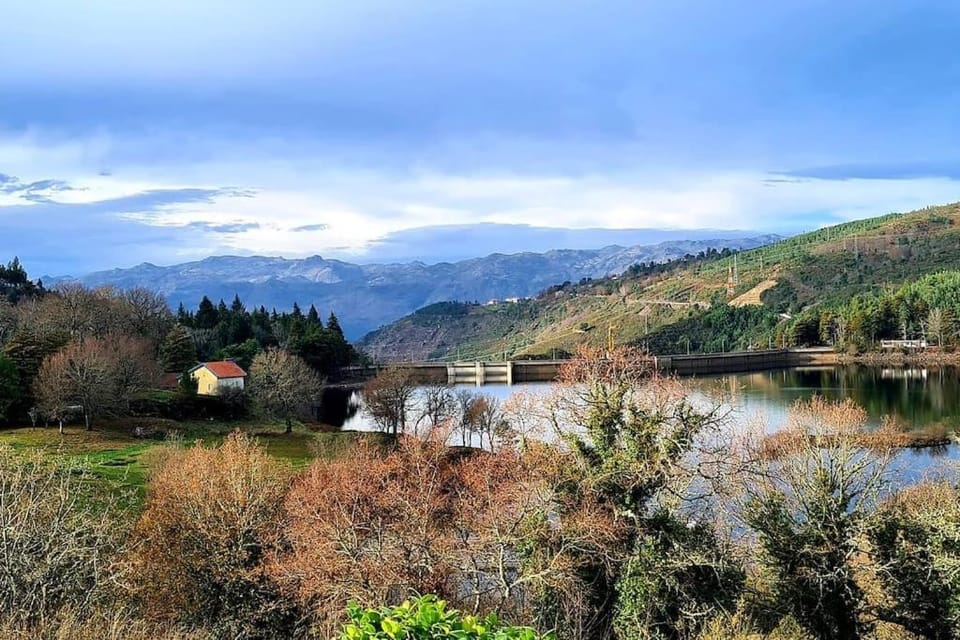 Casinha de Padrões House in Vila Real District