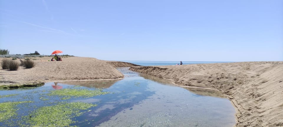 Natural landscape, River view, Sea view