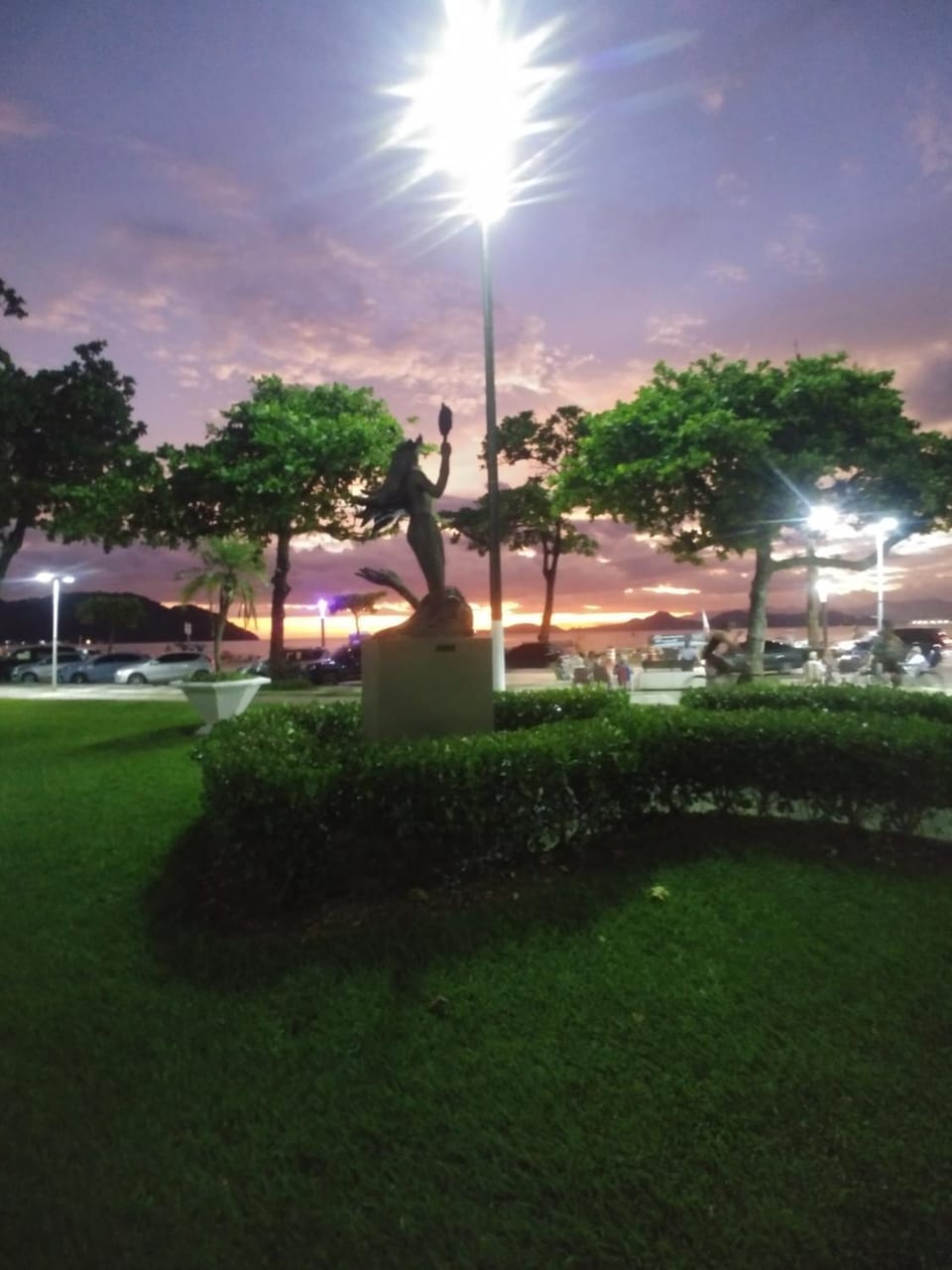 Garden view