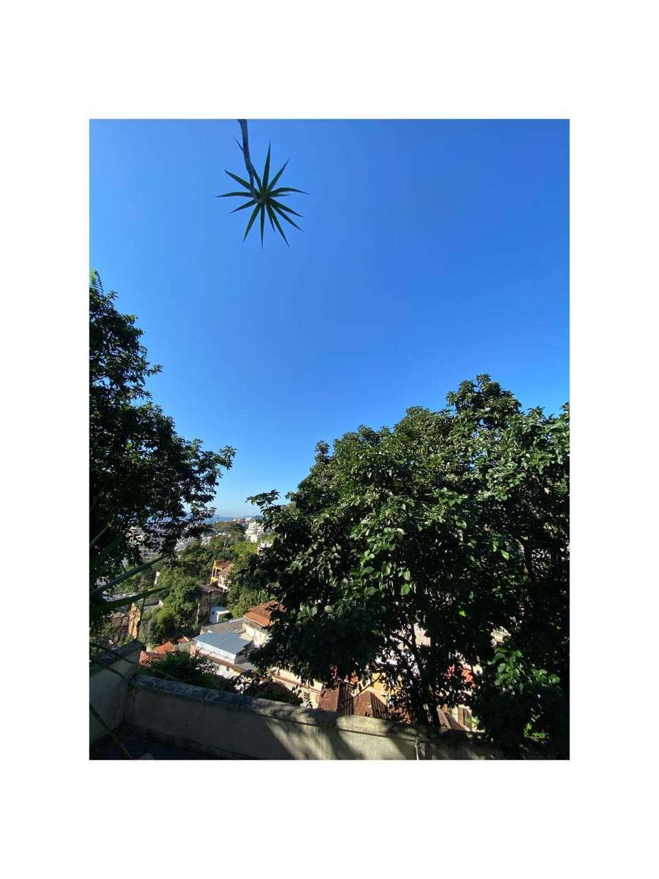 View (from property/room)