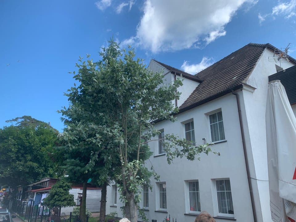 Property building, Day, Neighbourhood, Street view