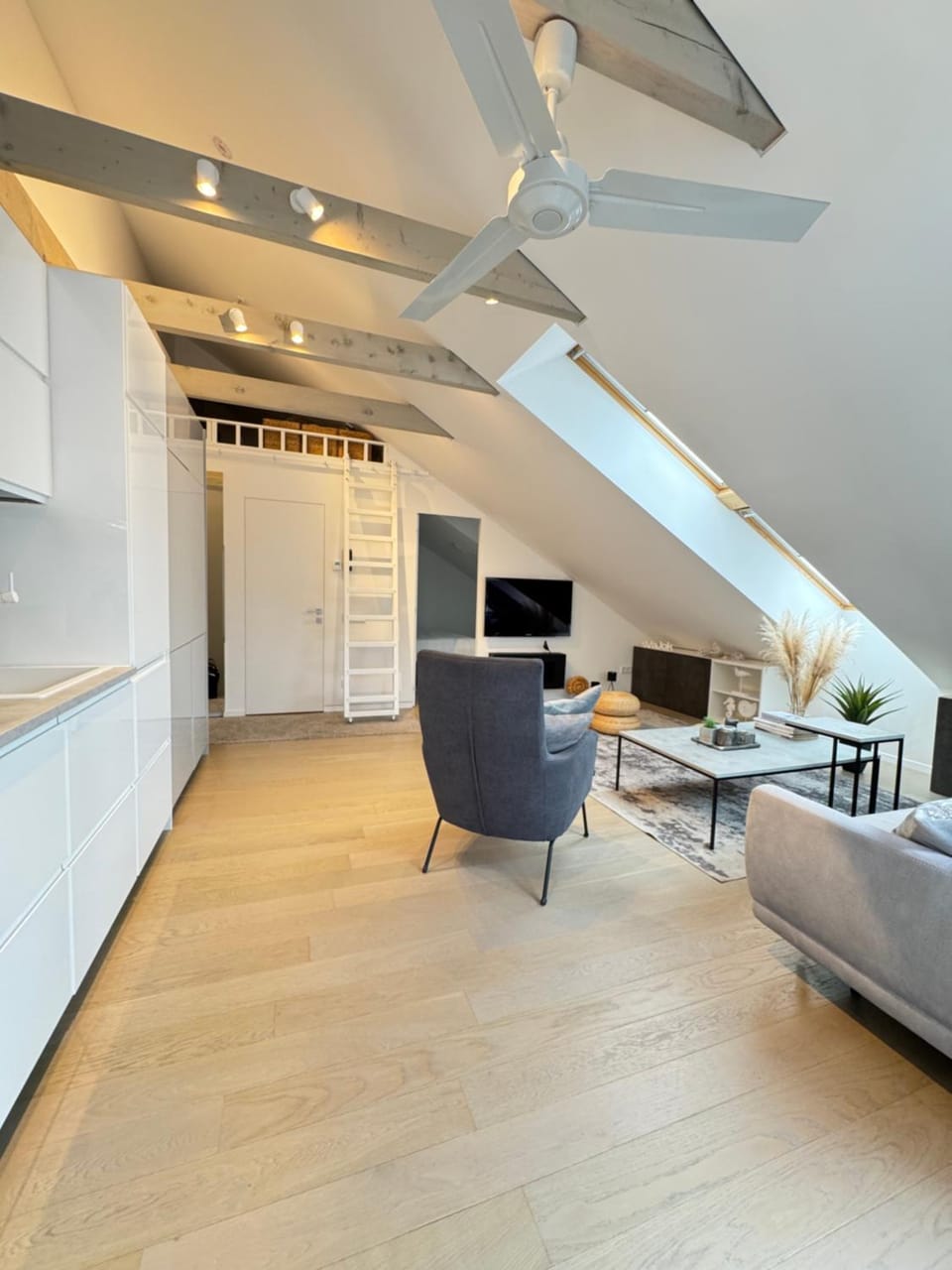 Kitchen or kitchenette, Living room, Dining area, oven