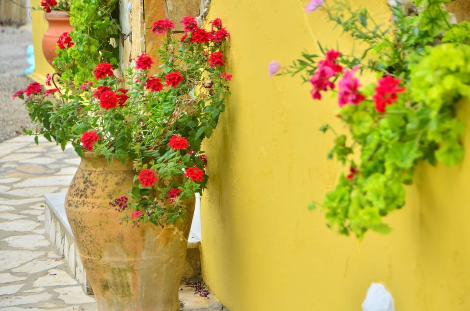 Garden, Decorative detail
