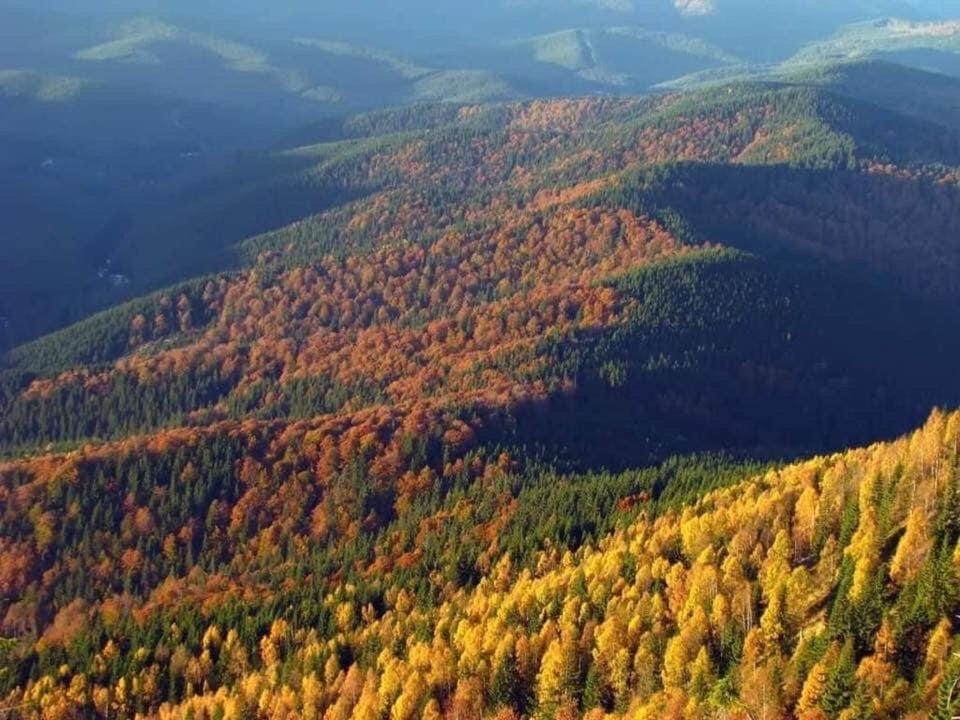 Natural landscape