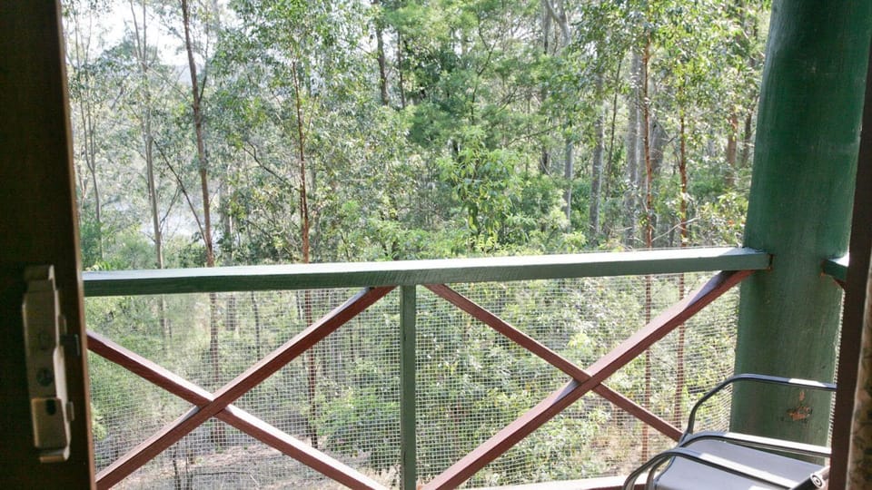 Natural landscape, View (from property/room), Balcony/Terrace