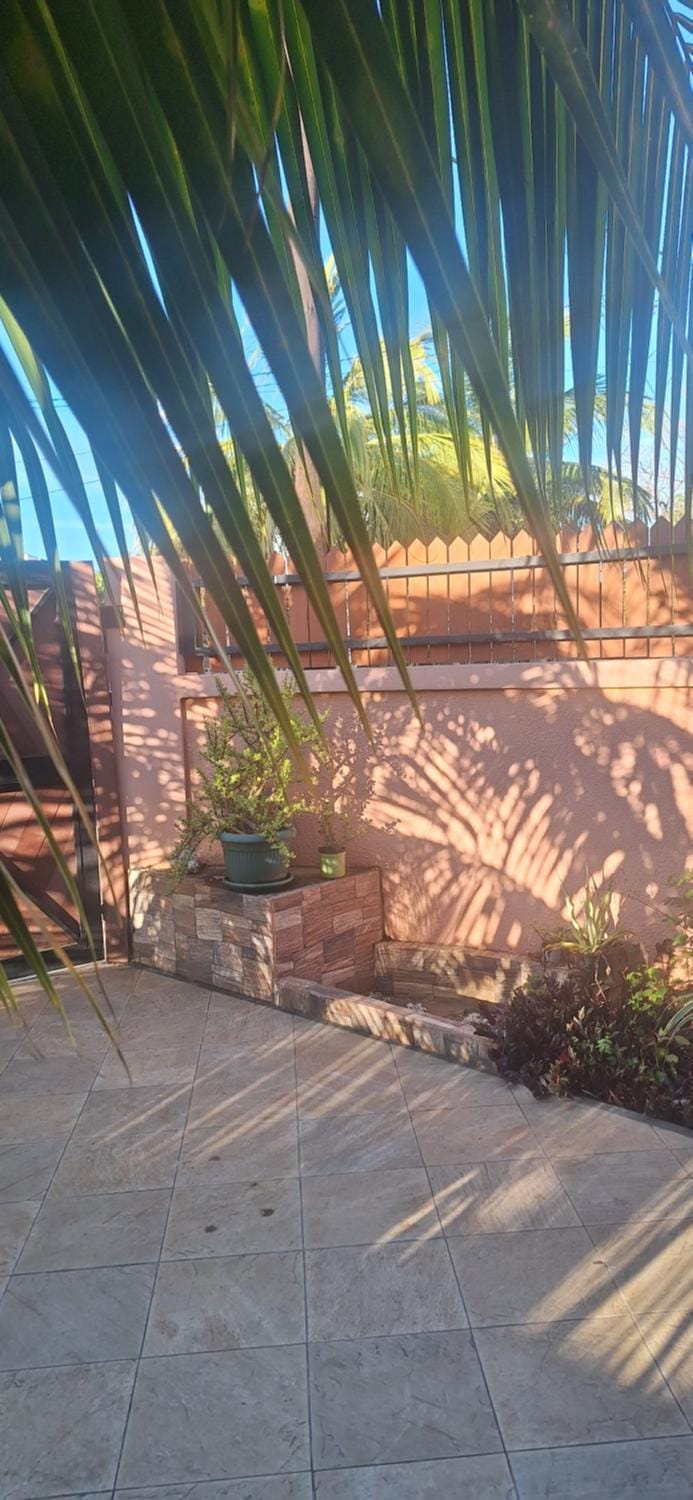 Day, Garden, Garden view