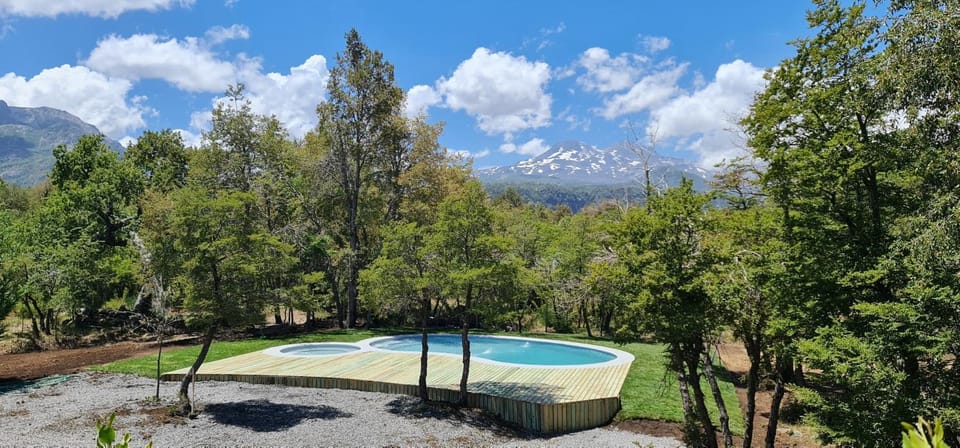 Natural landscape, Garden, Swimming pool, Swimming pool