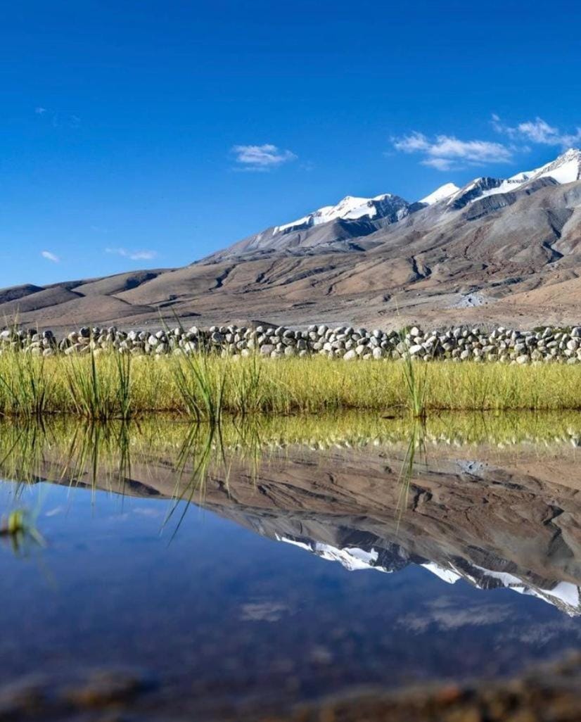 Mentsel Merak Pangong Lake Campground/ 
RV Resort in India