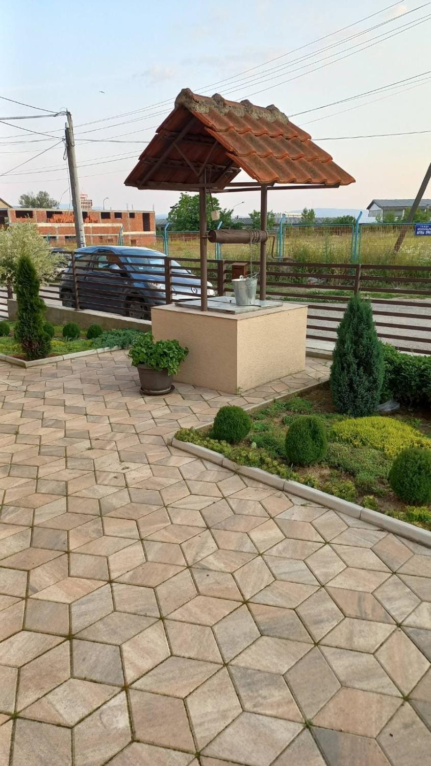 Day, Garden, Garden, Garden view