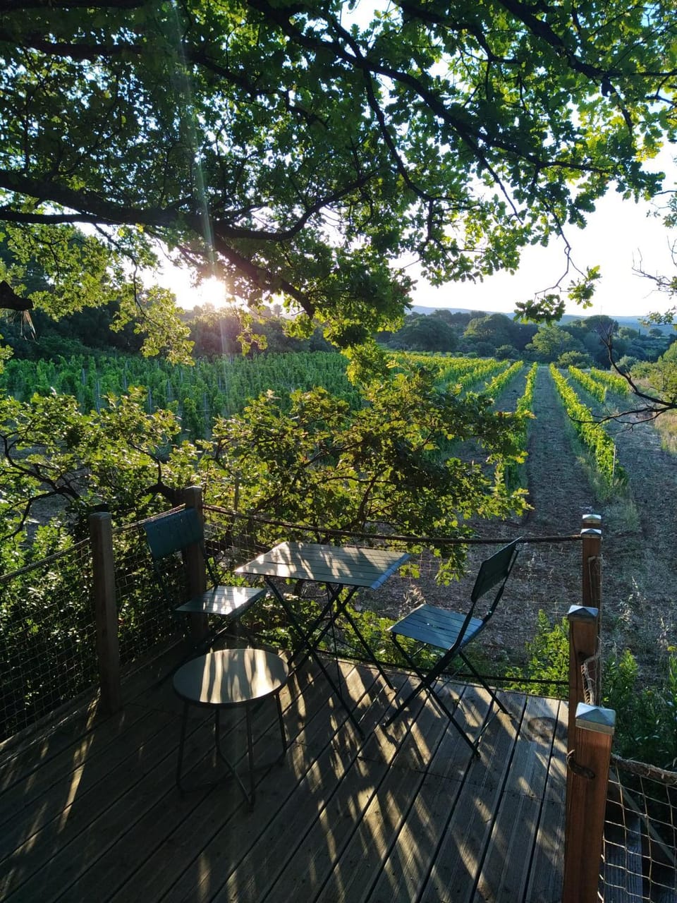 Natural landscape, Balcony/Terrace, Garden view