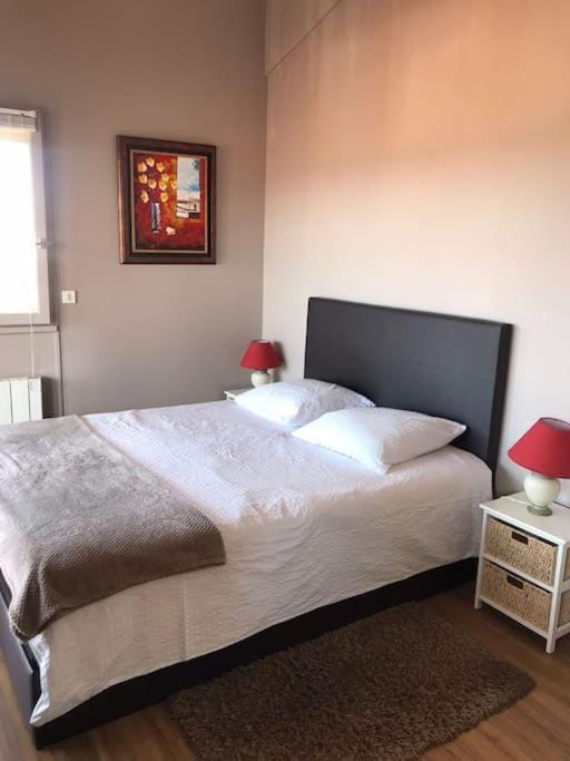 Bel appartement tout confort en bord des plages Apartment in Anglet