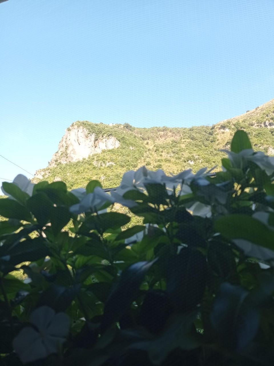 Mountain view