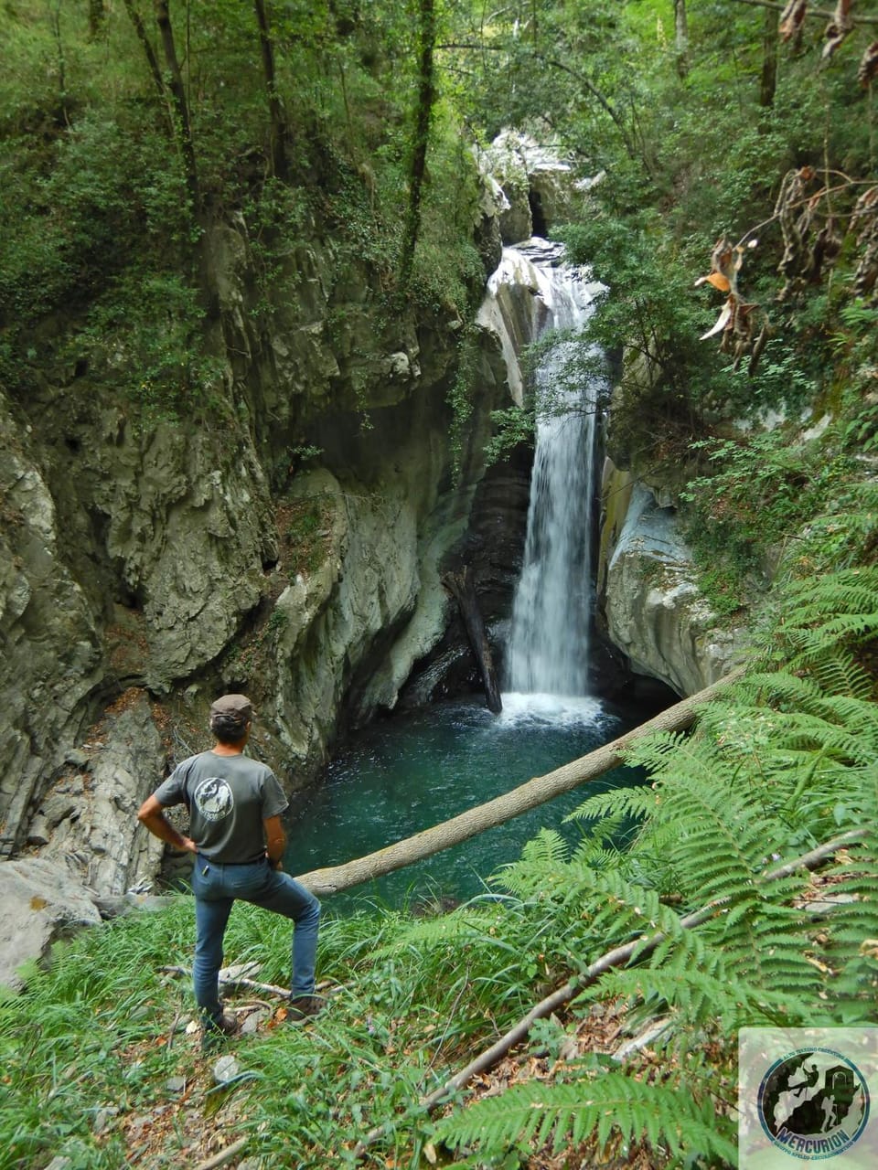 Natural landscape