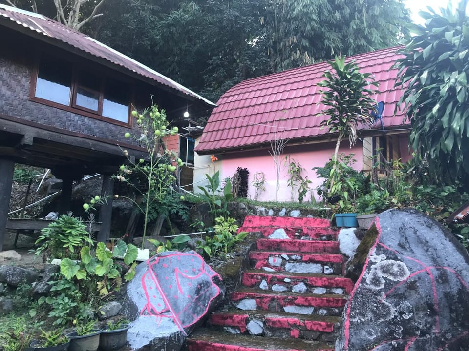 Property building, Day, Garden, Garden view