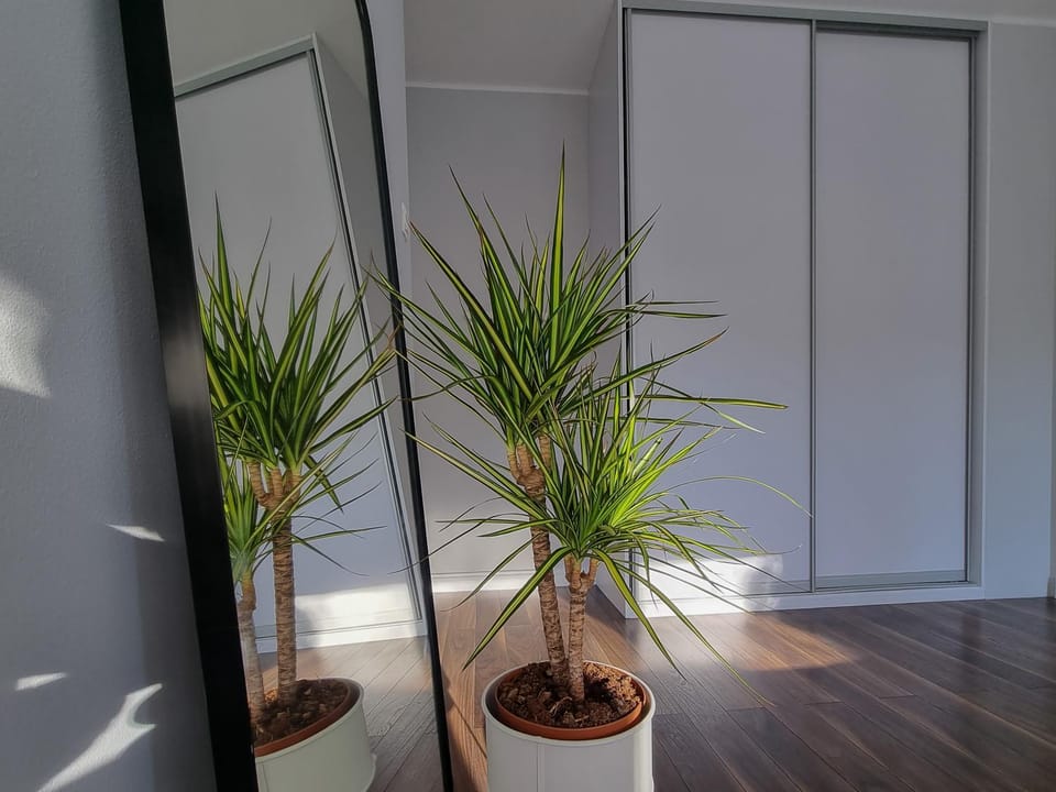 Bedroom, wardrobe