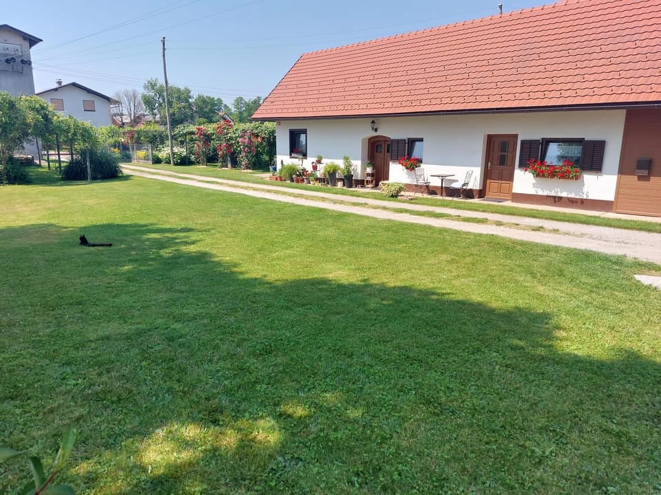 Natural landscape, Garden view