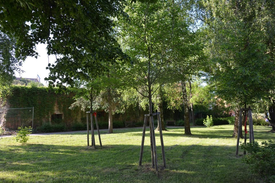 Natural landscape, View (from property/room), Garden view