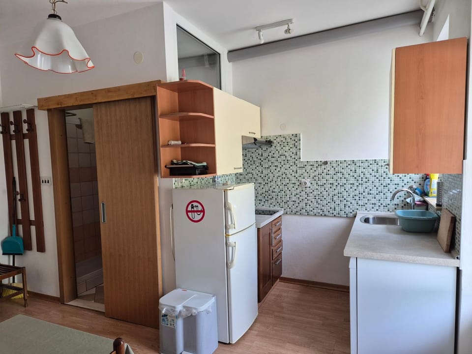Tripalme A Izola Apartment in Slovenia