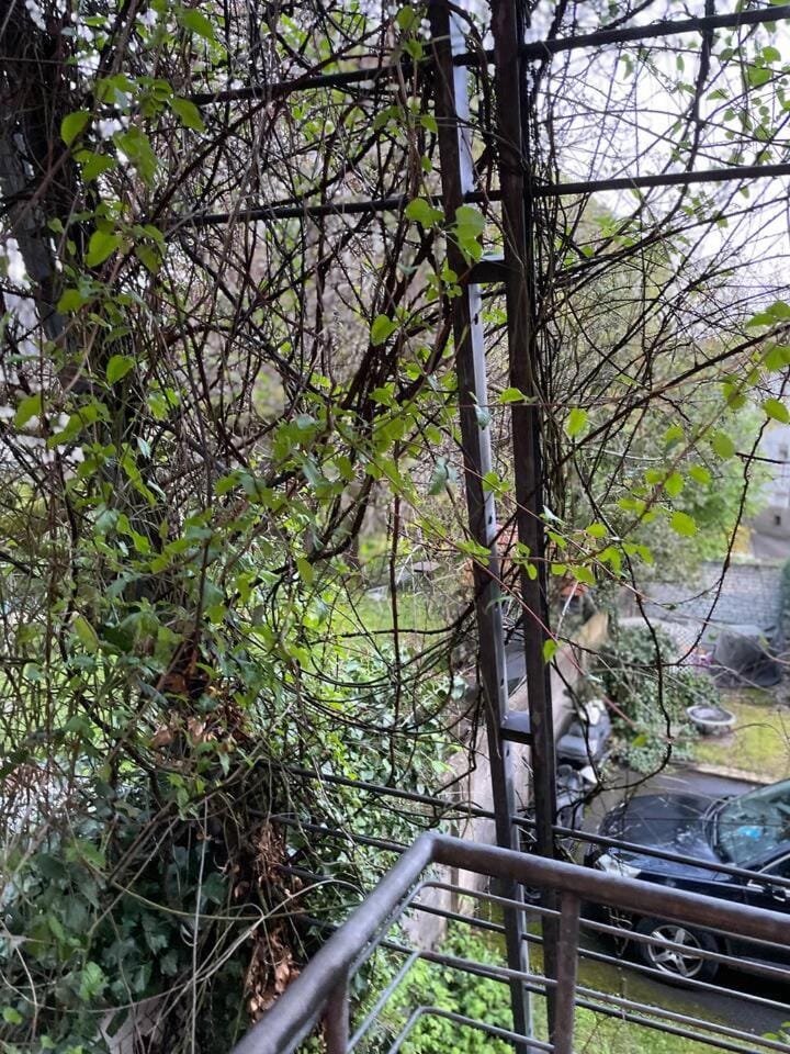 Schöne Wohnung in zentraler Lage im Ruhrgebiet Apartment in Witten