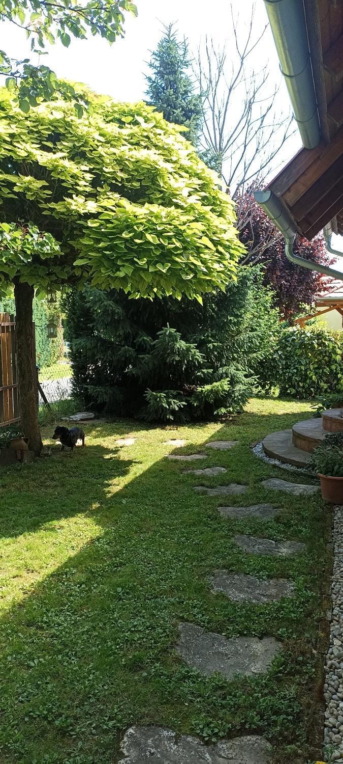 Garden, Garden view