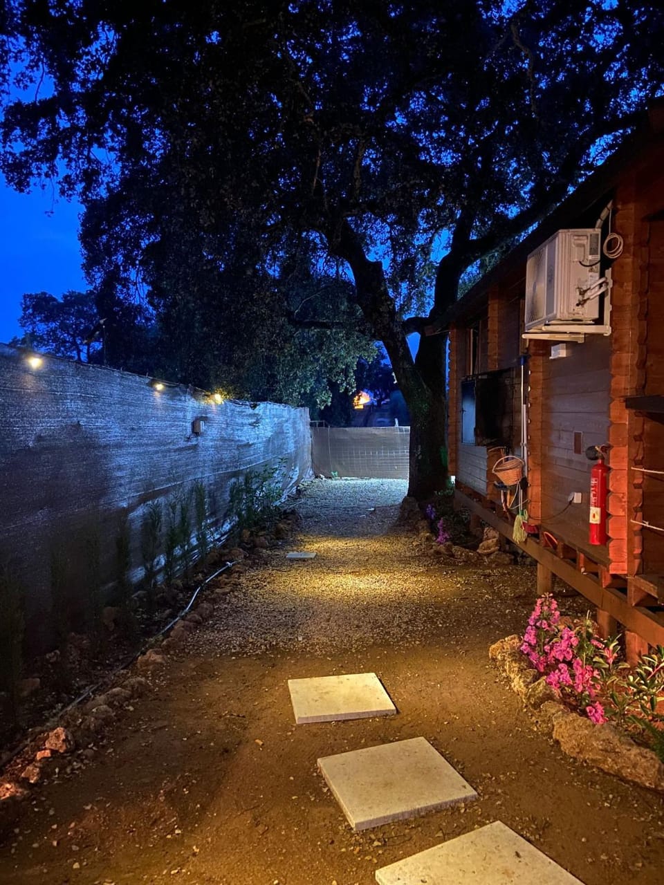 Night, Garden, Garden view
