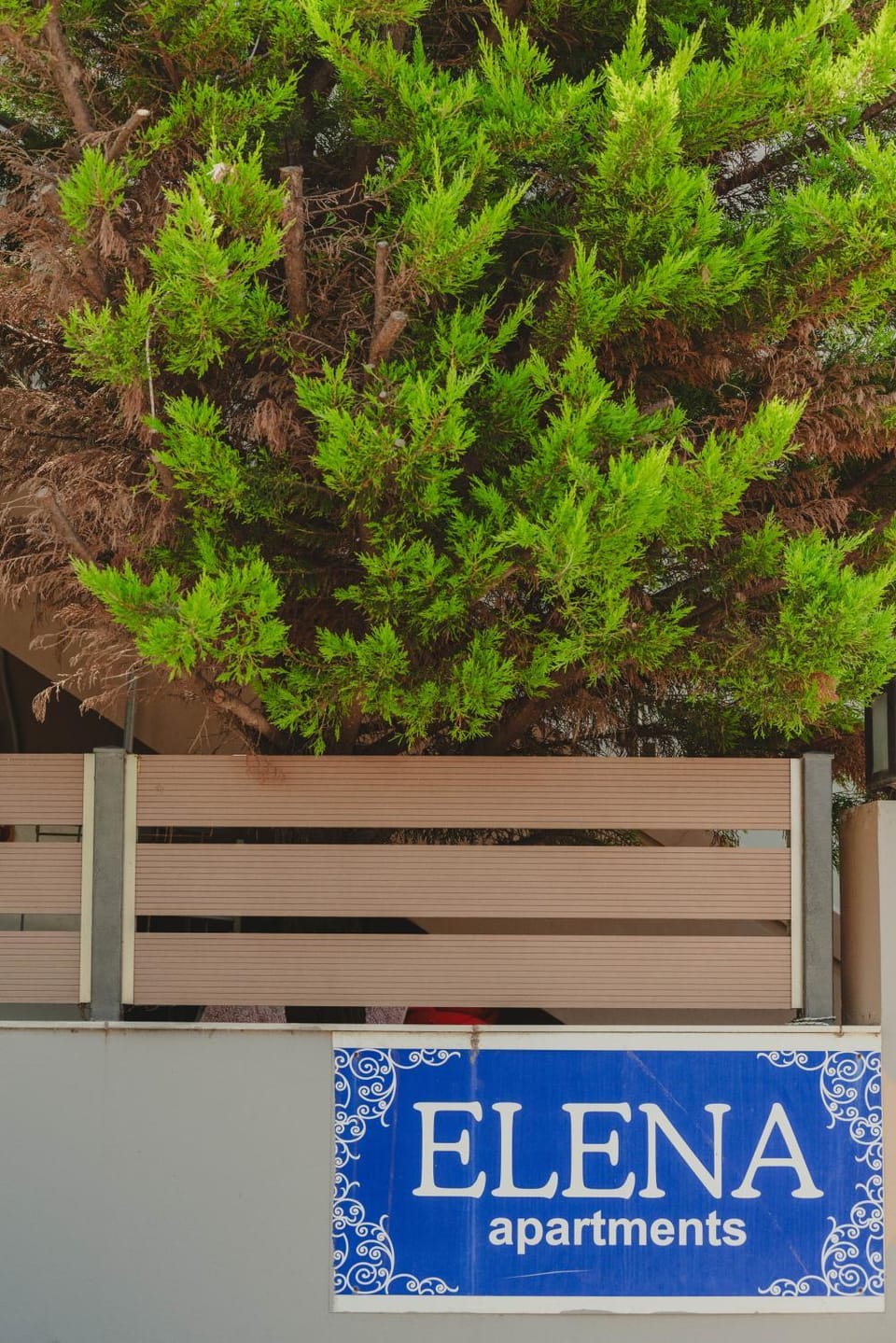 Logo/Certificate/Sign