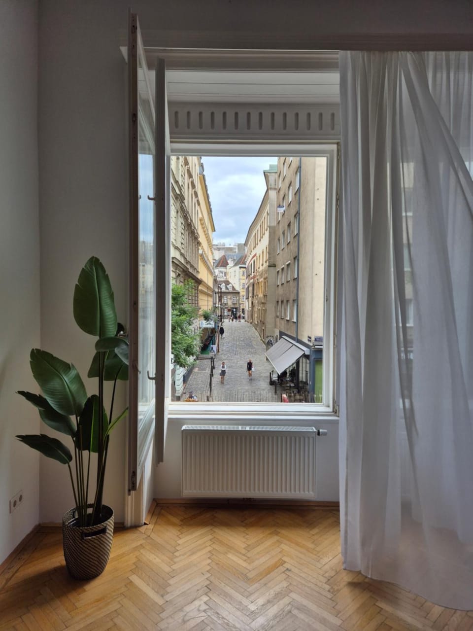 View (from property/room)