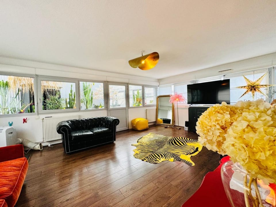 TV and multimedia, Living room