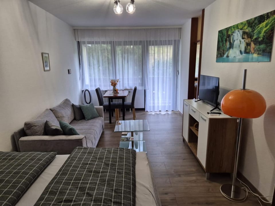 Wasserfälle Apartments Apartment in Ortenau