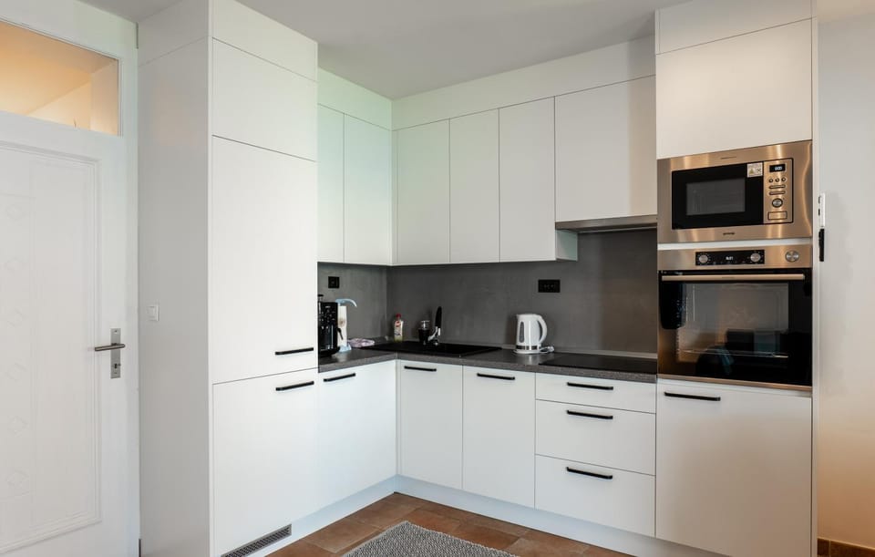Kitchen or kitchenette, dishwasher, minibar, pet friendly, stove