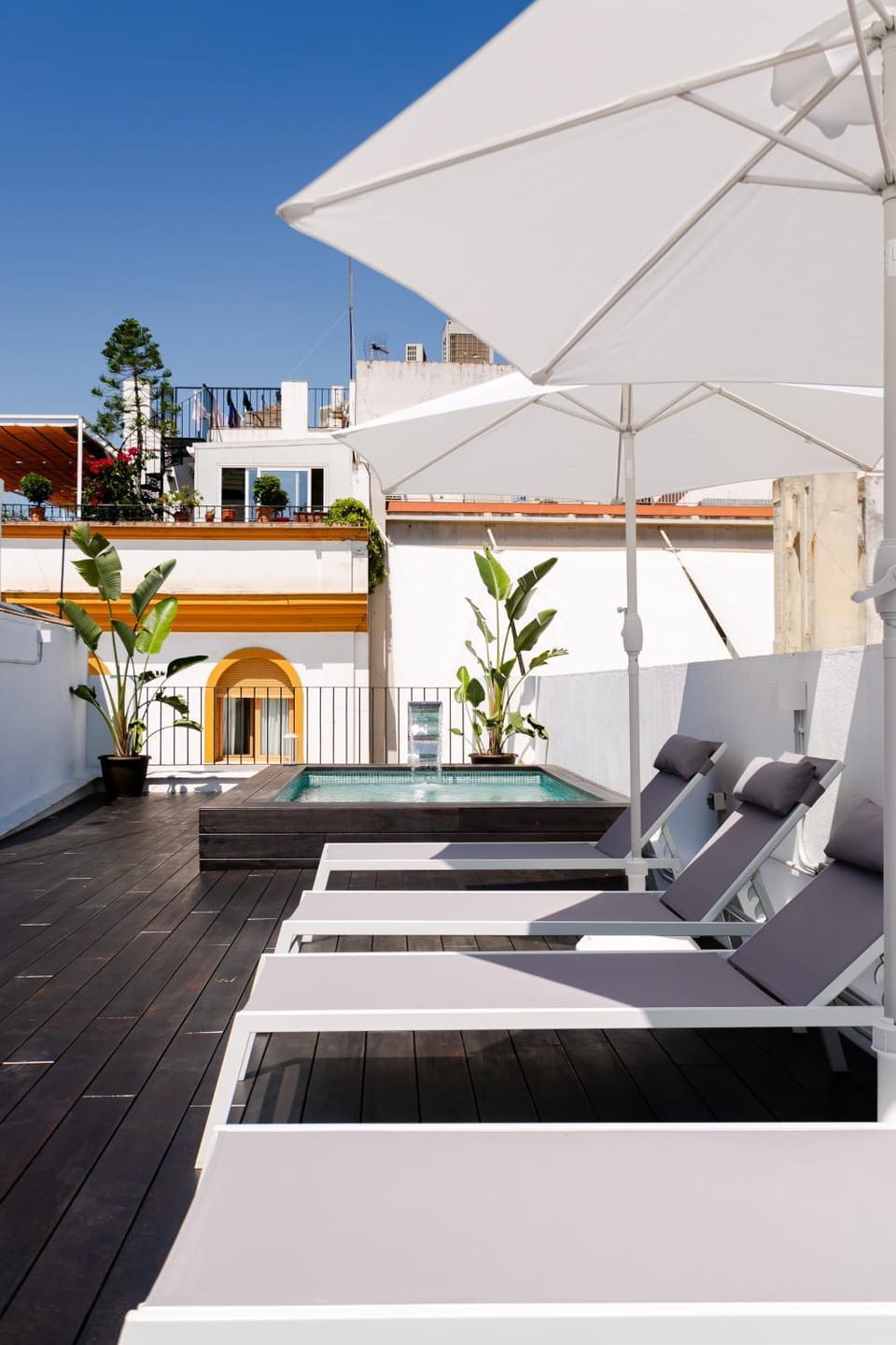Solarium, Balcony/Terrace