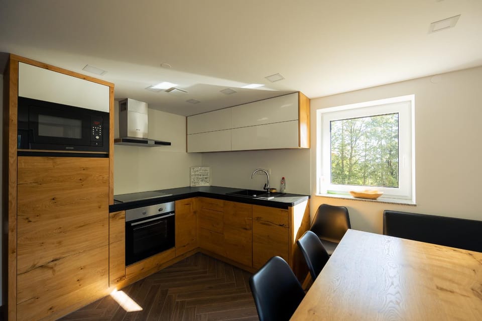 Kitchen or kitchenette, Dining area, stove