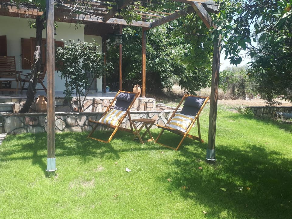 Garden, Balcony/Terrace