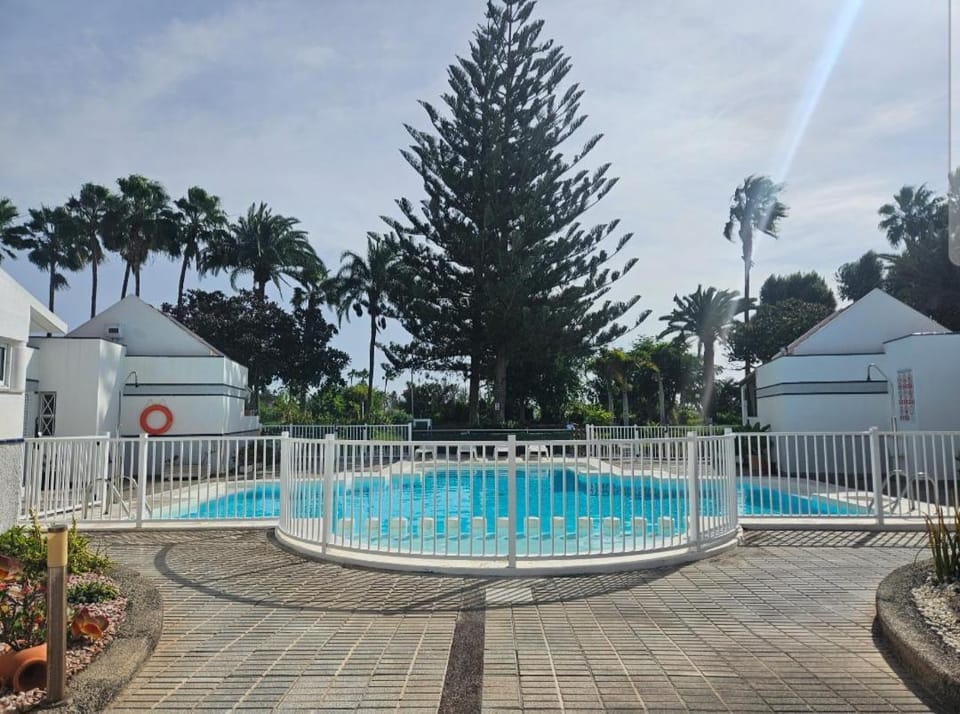 Day, Garden, Garden view, Pool view, Swimming pool, sunbed