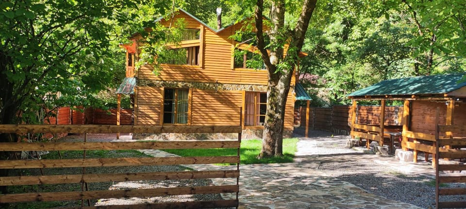 Villa Maxi Likani House in Georgia