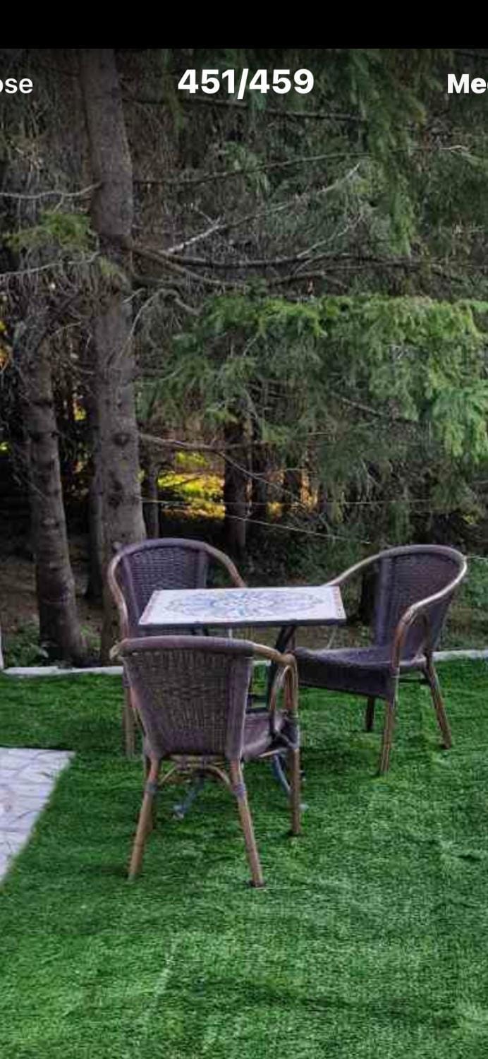 Natural landscape, Garden, Seating area