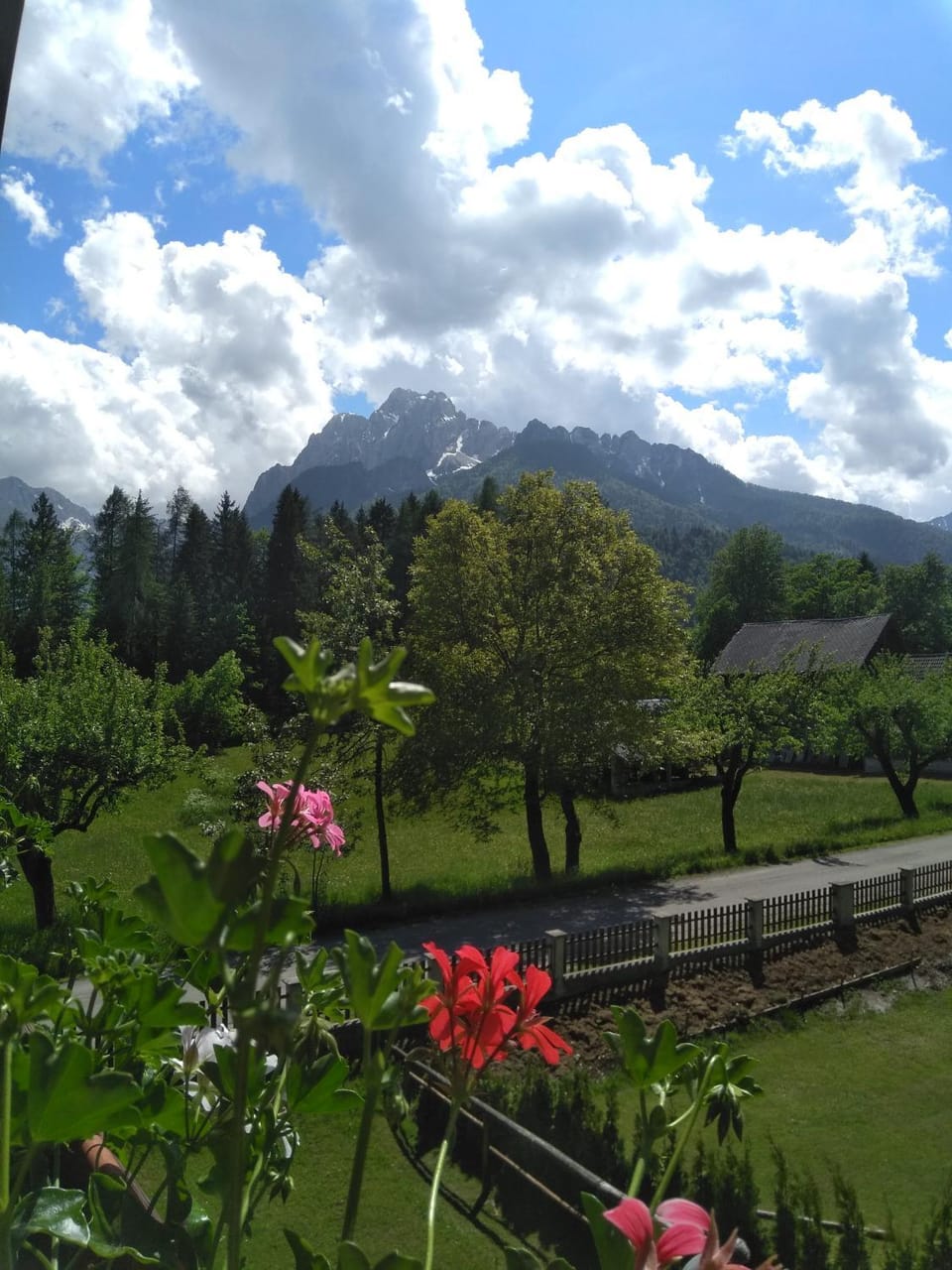 Apartments Mertelj Apartment in Friuli-Venezia Giulia