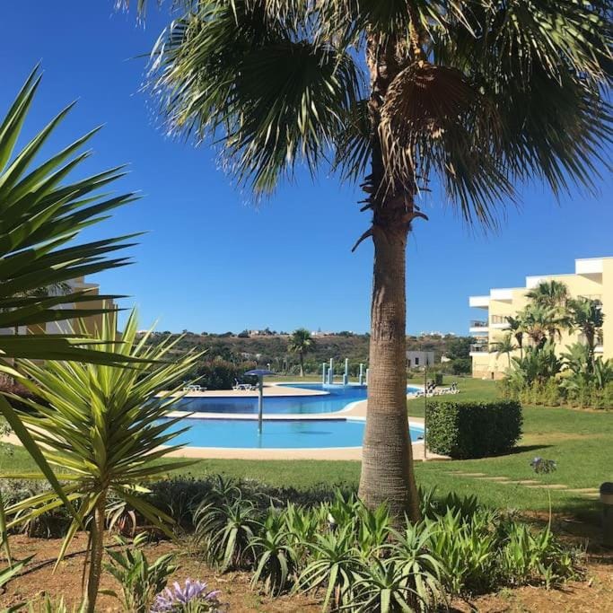 Garden, Garden view, Pool view, Swimming pool