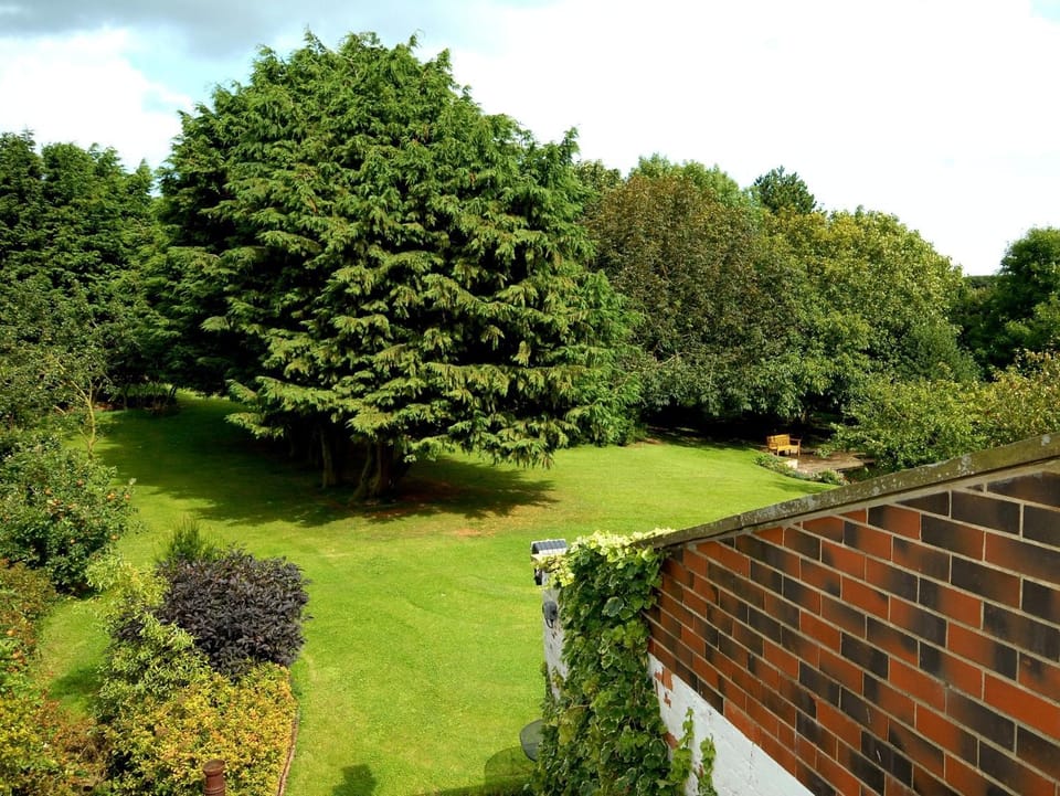 Day, Other, Garden view