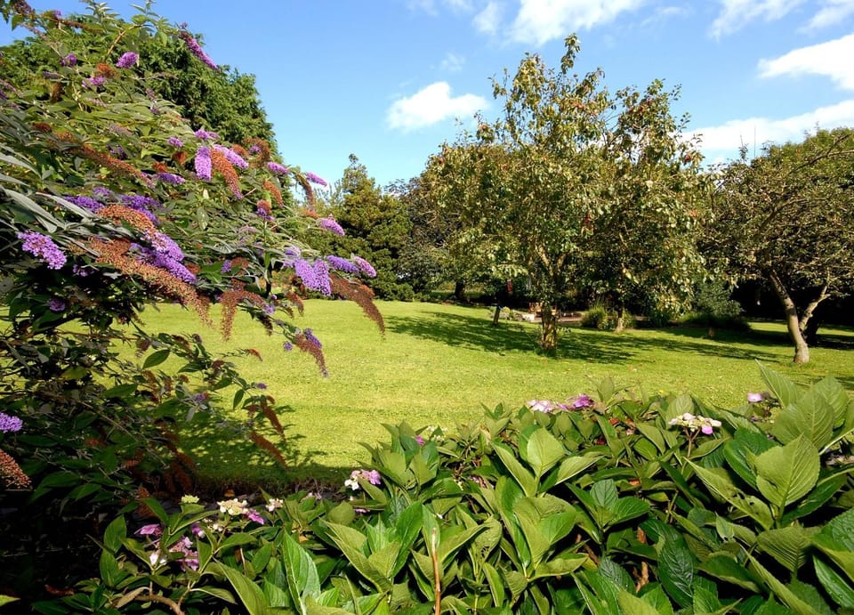 Garden, Garden view