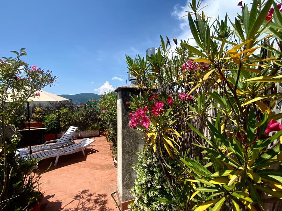 Balcony/Terrace, sunbed