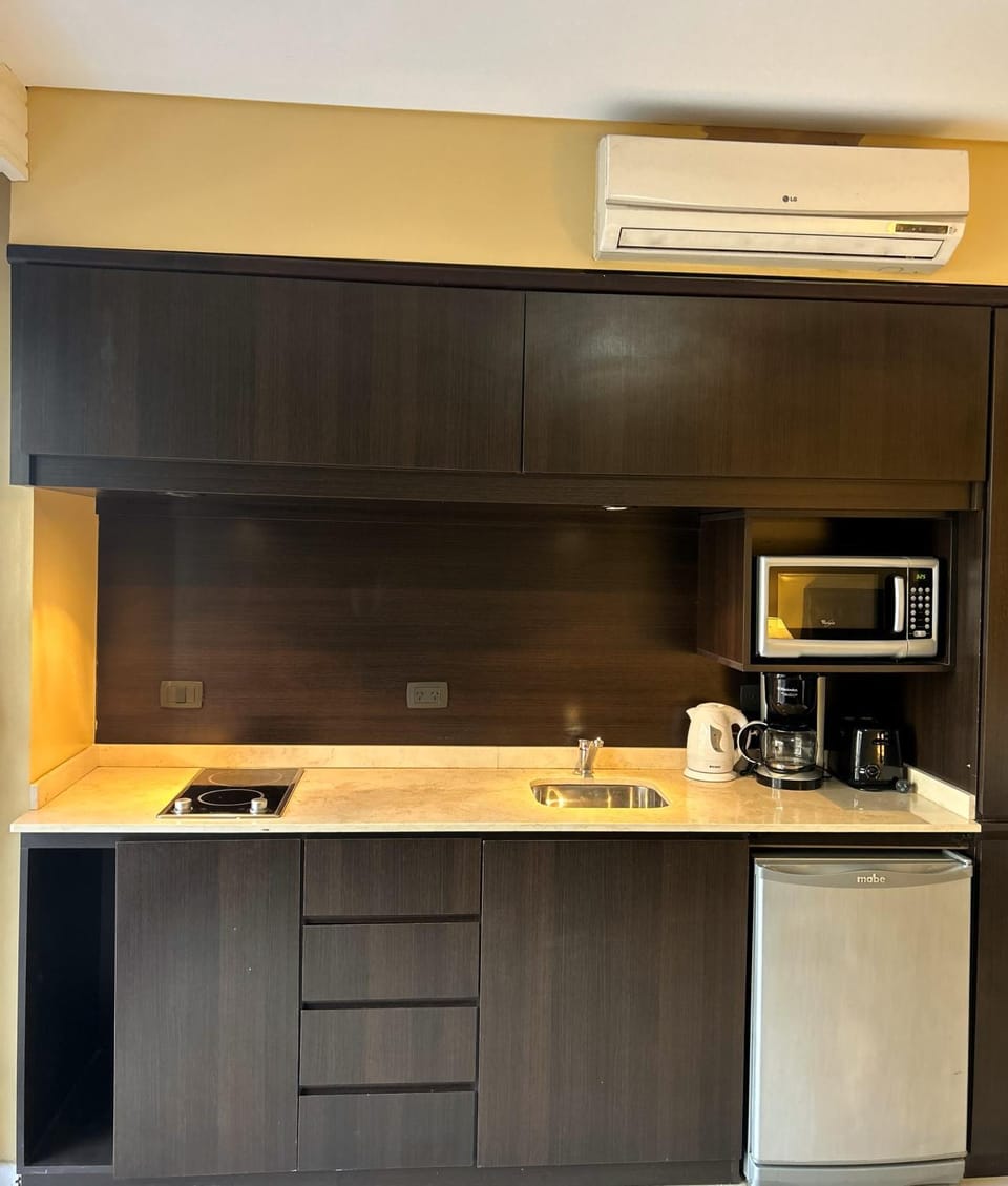 Kitchen or kitchenette, kitchen