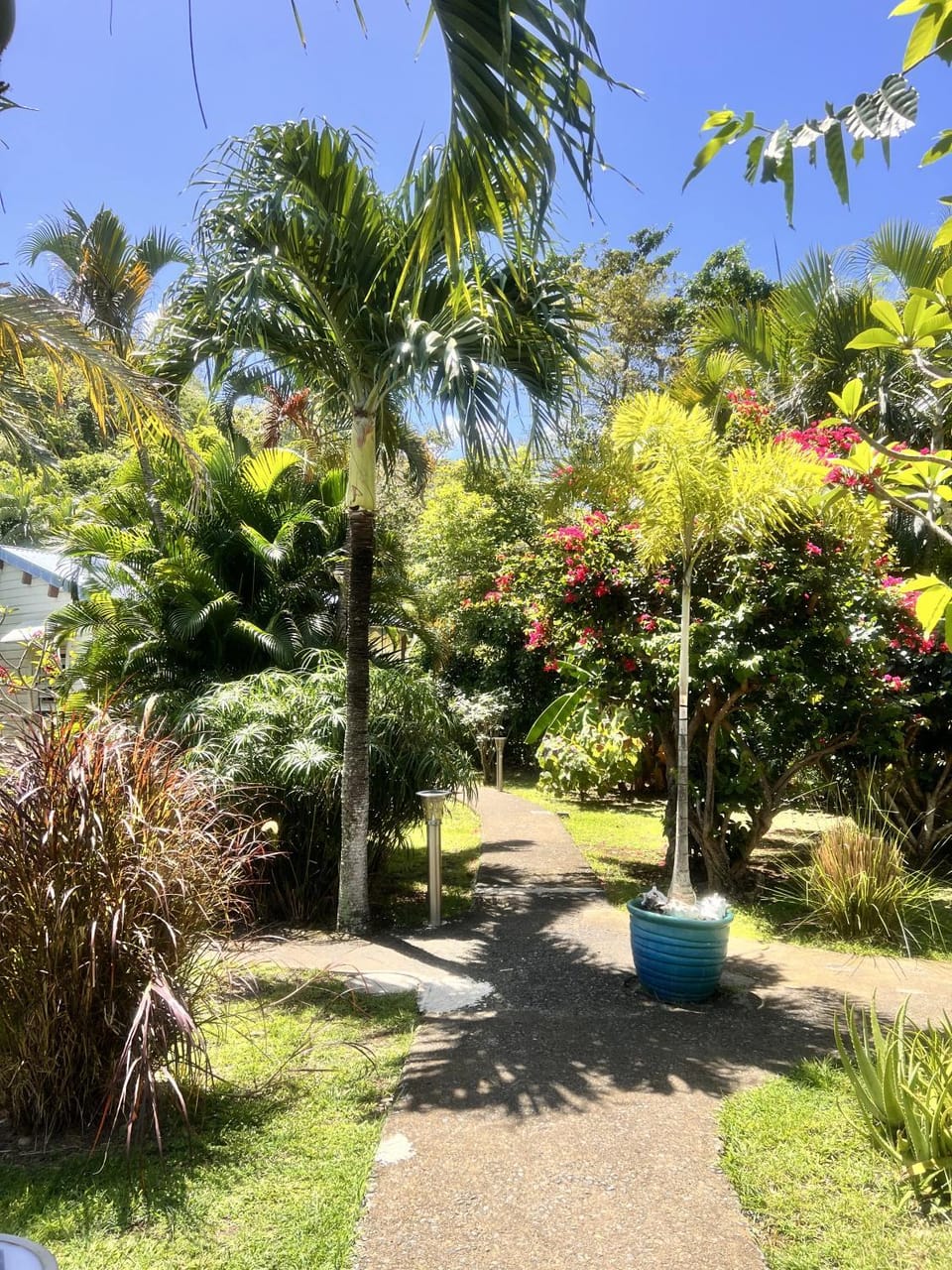 Garden, Garden view, Garden view