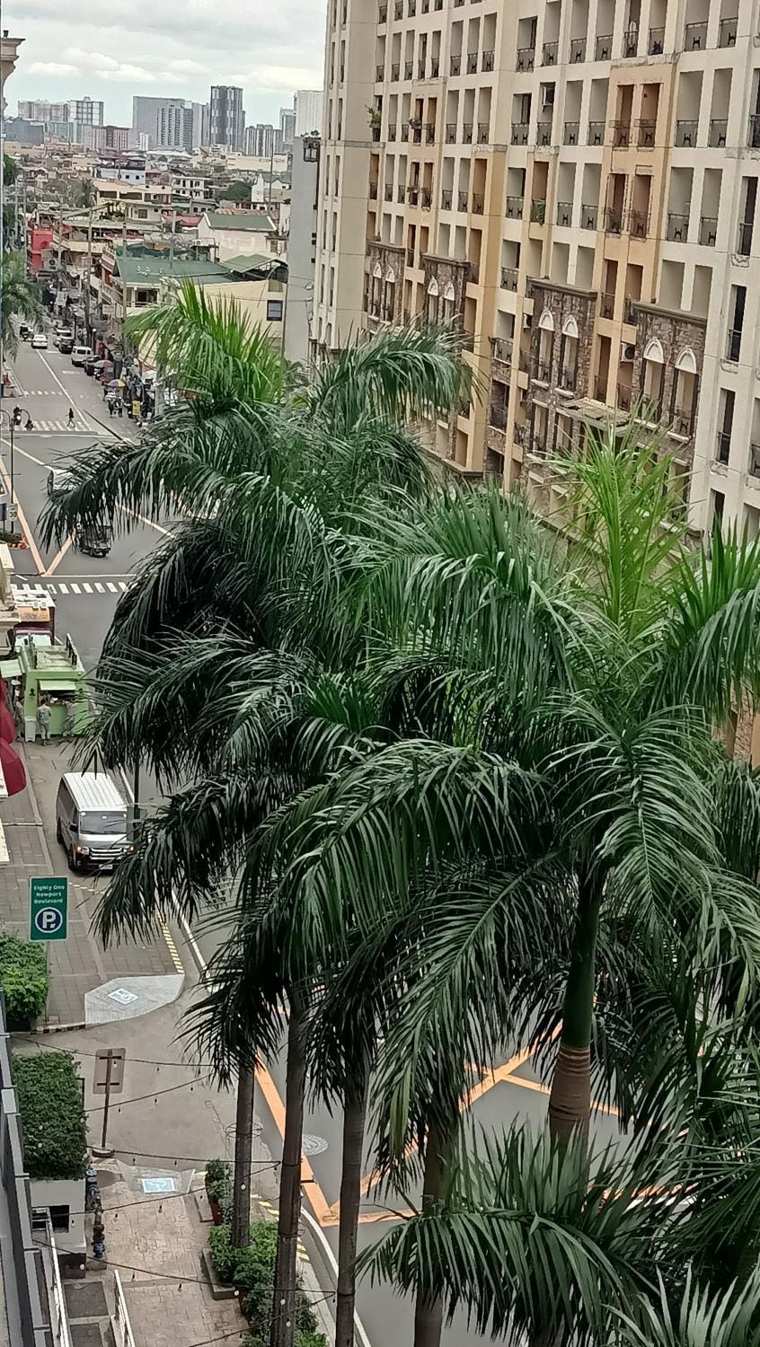 City view