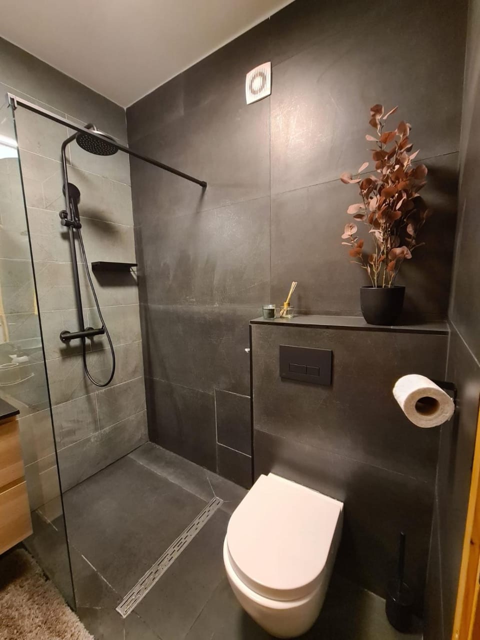 Shower, Toilet, Bathroom
