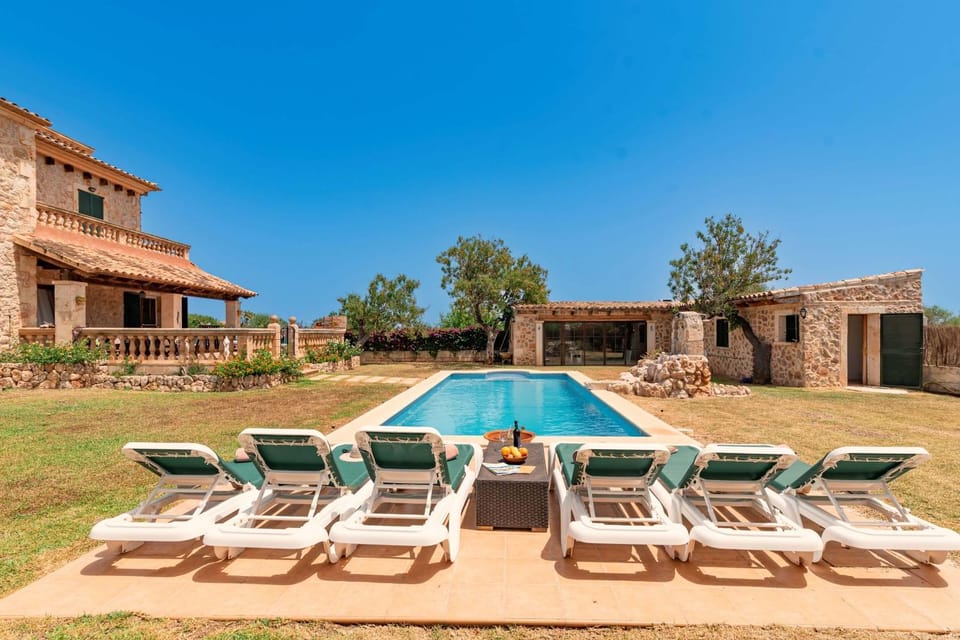 Patio, Day, Swimming pool, sunbed