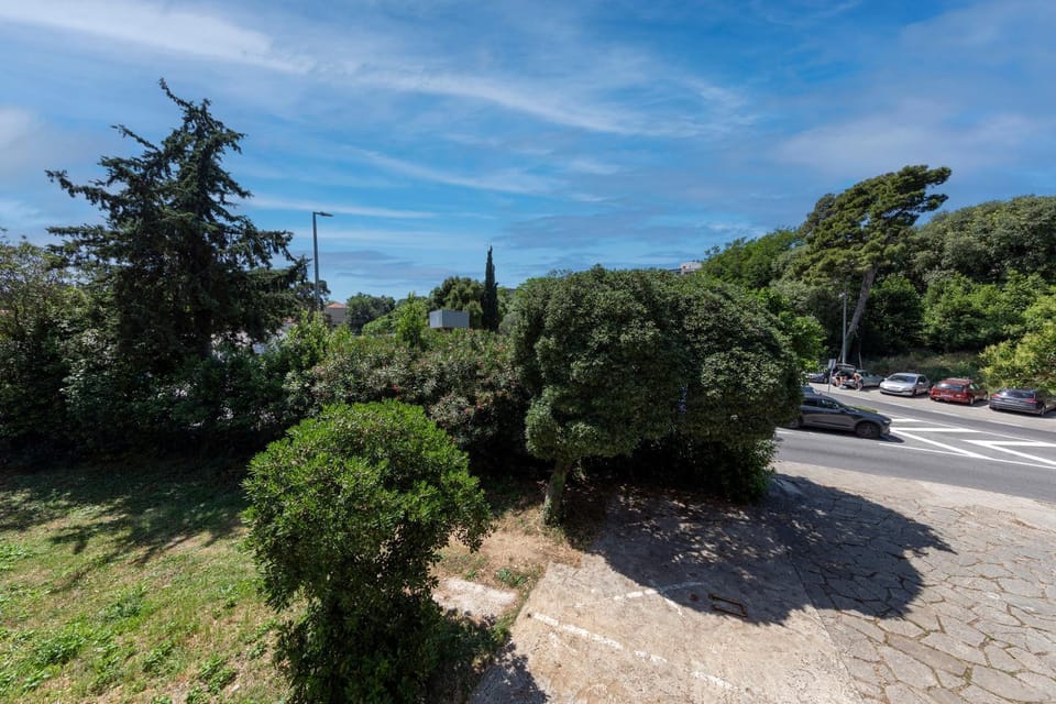 Garden view